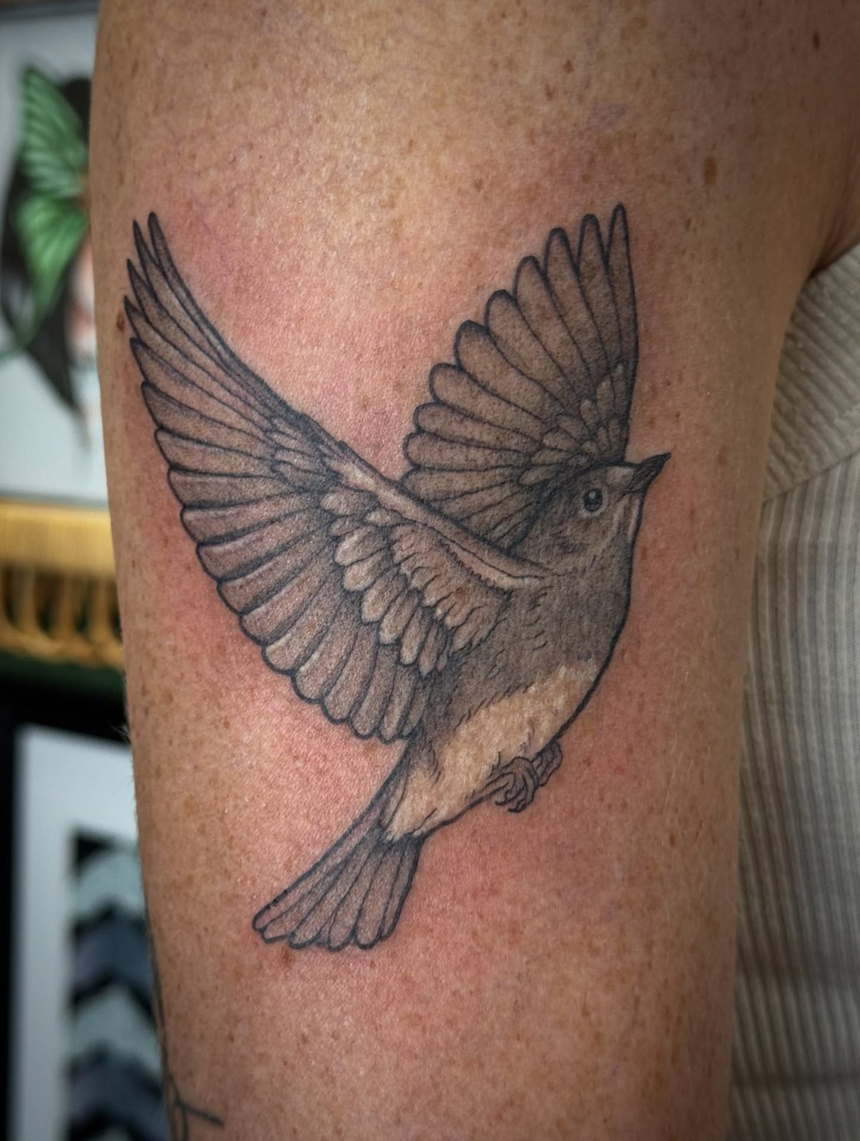 Black and grey tattoo of a bluebird in flight on an upper arm